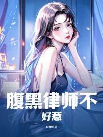 腹黑律师不好惹